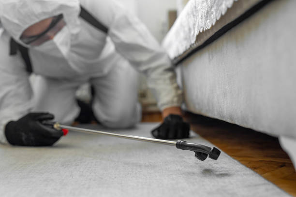 Professional Wasp Control technician working in West New York, NJ