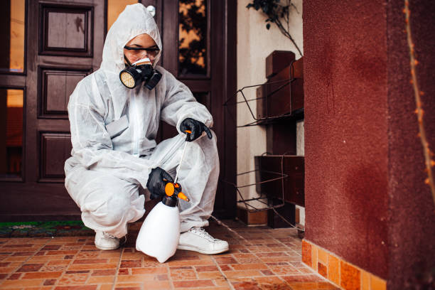 Reliable Bed Bug Control contractor in West New York, NJ by Nex Pest Control