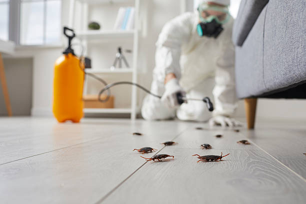 Trusted Emergency Pest Control service in West New York, NJ - Nex Pest Control