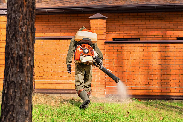 Trusted Bed Bug Control service in West New York, NJ - Nex Pest Control